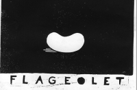 14_flageolet.jpg