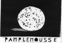 14_pamplemousse.jpg